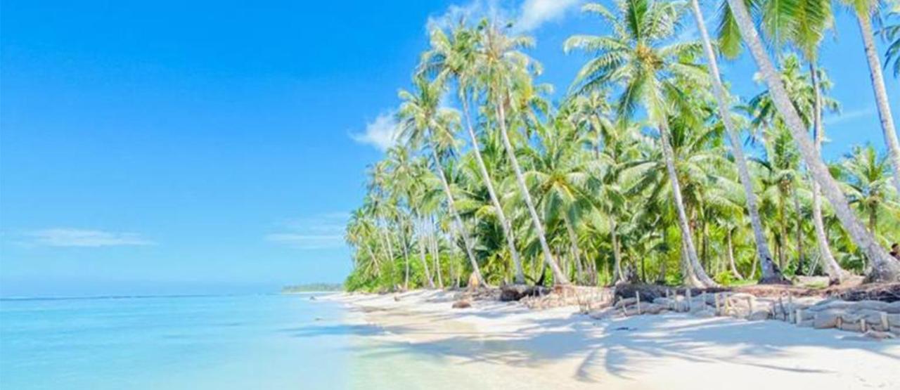Nasara Resort Mentawai Tua Pejat Екстер'єр фото