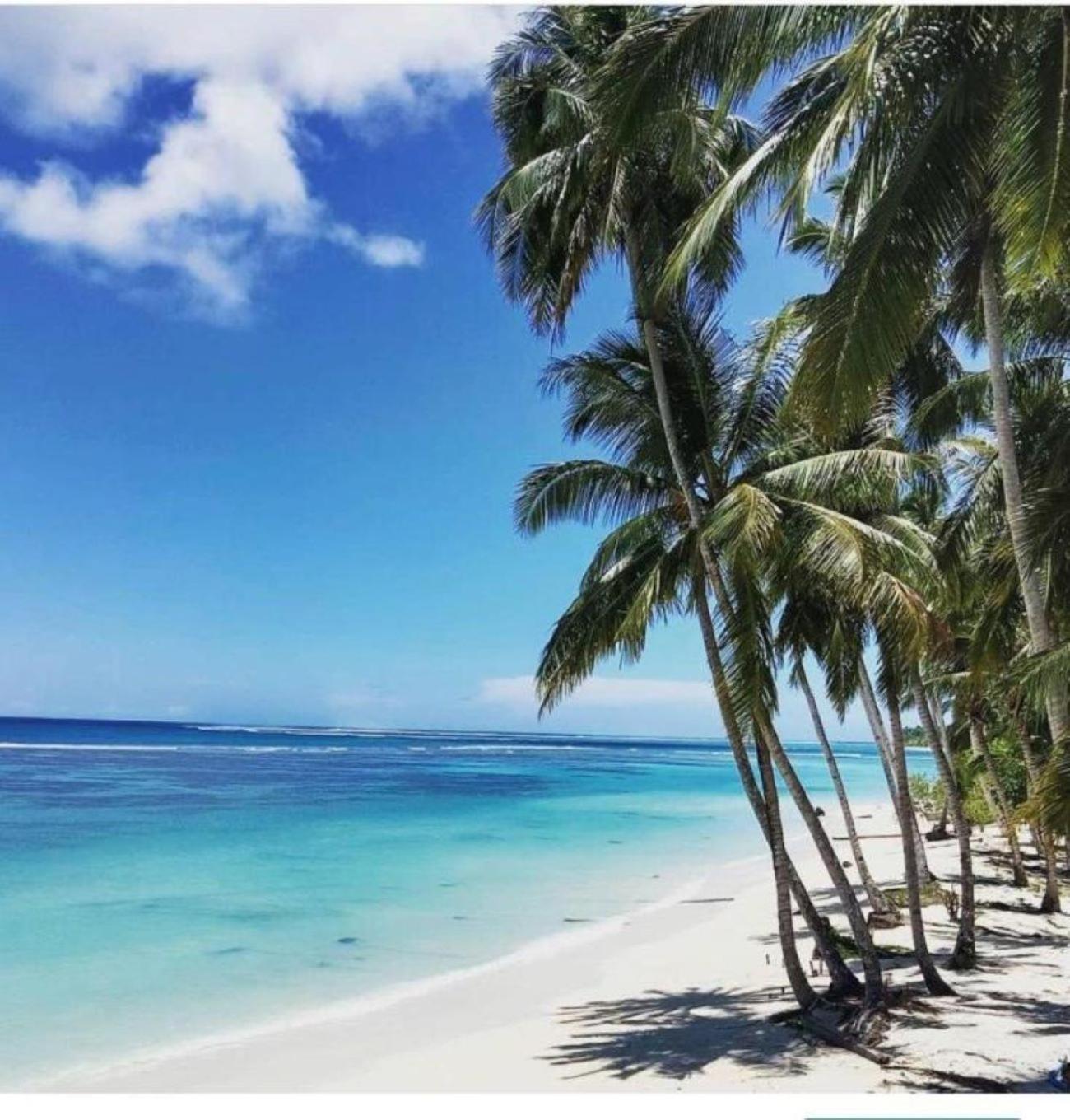 Nasara Resort Mentawai Tua Pejat Екстер'єр фото